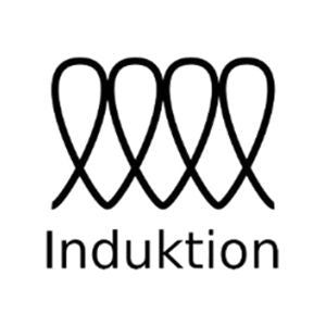 Induktion